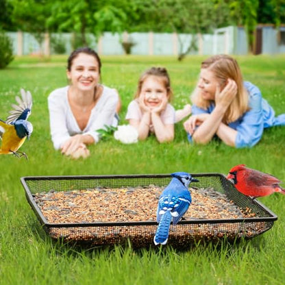 MIXXIDEA Ground Bird Feeder Tray 11x11 Inches, Metal Platform Mesh Seed Tray for Bird Feeders, Great Attracting Garden Yard Decoration for Wild Birds Squirrels Dove,1 Pack - size: 11x11 inches (1 pack)