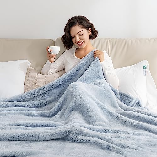 Berkshire Blanket Classic Extra-Fluffy™ Plush Blanket Twin Size, Soft Fuzzy Fluffy Long Hair Blanket for Couch Sofa Bed, Blue Mist, 60x92 Inches - color: Blue Mist, size: Twin/Twin XL