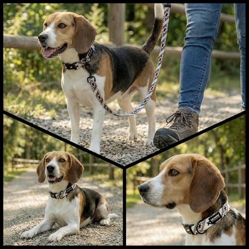 Tuff Pupper Premium Adjustable Dog Collar for Small Boy & Girl Dogs, Stylish Pattern Collars Designed in USA, Quick Release Buckle, NativePath Print, Small (0.7 Inch Wide x 8-12 Inch Neck) - color: NativePath, size: Small
