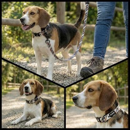 Tuff Pupper Premium Adjustable Dog Collar for Small Boy & Girl Dogs, Stylish Pattern Collars Designed in USA, Quick Release Buckle, NativePath Print, Small (0.7 Inch Wide x 8-12 Inch Neck) - color: NativePath, size: Small