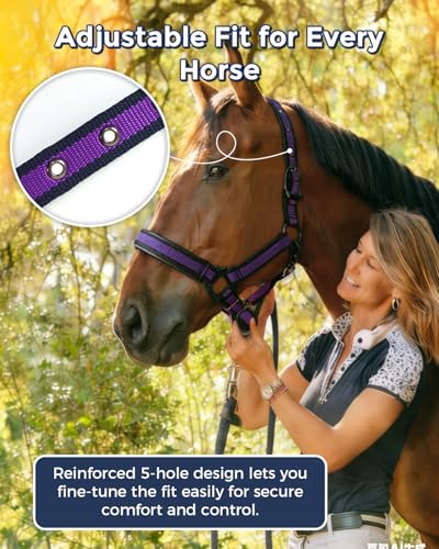 Hilltown Adjustable Horse Halter - color: PURPLE, size: X-Full