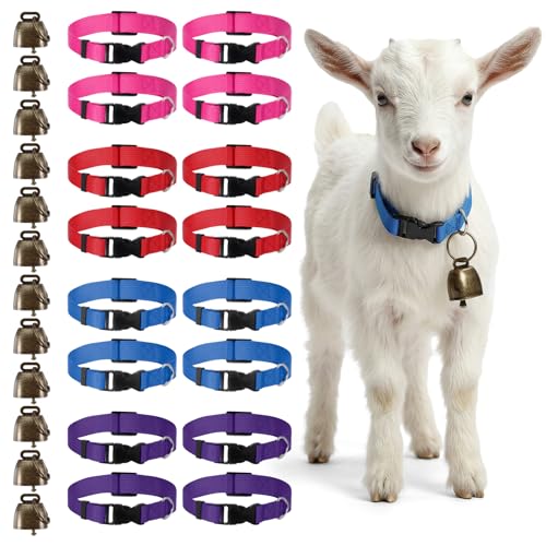 MAQUITA 12 Pack Goat Collars with Bells - Adjustable Nylon Collar Set with Antique Copper Bells for Sheep, Lambs, Small Farm Animals (4 Colors)