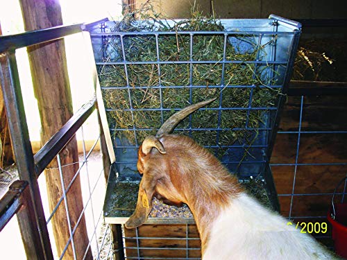 Little Giant® Mountable Sheep and Goat Feeder - 2 in 1 Goat and Sheep Feeder and Hay Rack - Combination Hay and Grain Saves Space (Item No. 168793)