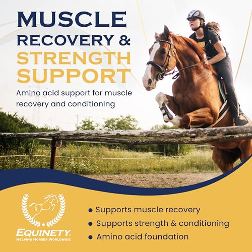 100-Day Supply Equinety Horse XL Powder Horse Supplement with Amino Acids - style: Horse XL