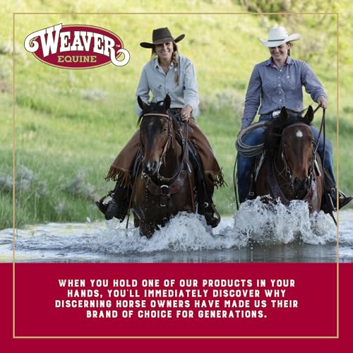 Weaver Leather Equine Felt Lined Smart Cinch - color: Black, size: 36-Inch