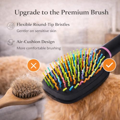 2PCS Rainbow Air Cushion Grooming Brush for Horses Dogs Cats