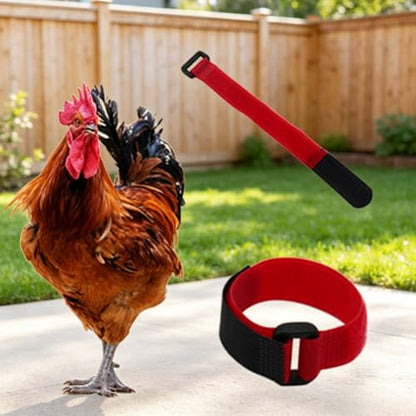 4 Pcs Aesthetic Upgrade Poultry Neck Loop Bulk Adjustable Nylon Farm Chicken Collar Utility Belt Set for Adult Yard