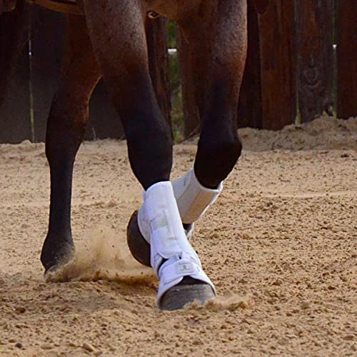 Classic Equine "" Equine Protech - color: White, size: Medium