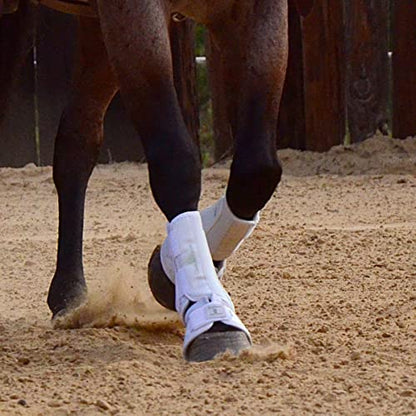 Classic Equine "" Equine Protech - color: White, size: Small