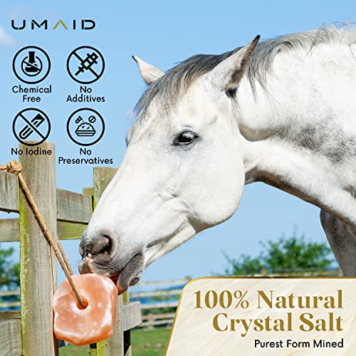 UMAID Himalayan Salt Lick 6 lbs On Rope for Horse, Deer, Goat, and Livestock Animals - Himalayan Salt Block 1 Pack - size: 6 Pound (Pack of 1)