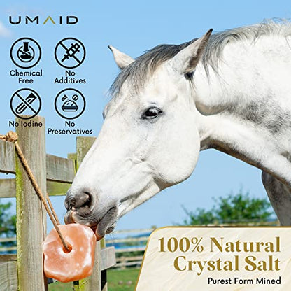 UMAID Himalayan Salt Lick 6 lbs On Rope for Horse, Deer, Goat, and Livestock Animals - Himalayan Salt Block 1 Pack - size: 6 Pound (Pack of 1)