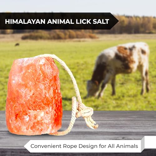 Himalayan Pink Salt Licks for Animals – Natural Salt Block with Rope for Horses, Cows, Deer & More – No Harmful Elements - Approximately 9 lbs (Pack of 2)