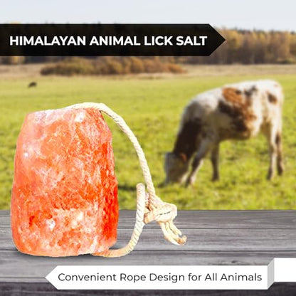 Himalayan Pink Salt Licks for Animals – Natural Salt Block with Rope for Horses, Cows, Deer & More – No Harmful Elements - Approximately 9 lbs (Pack of 2)