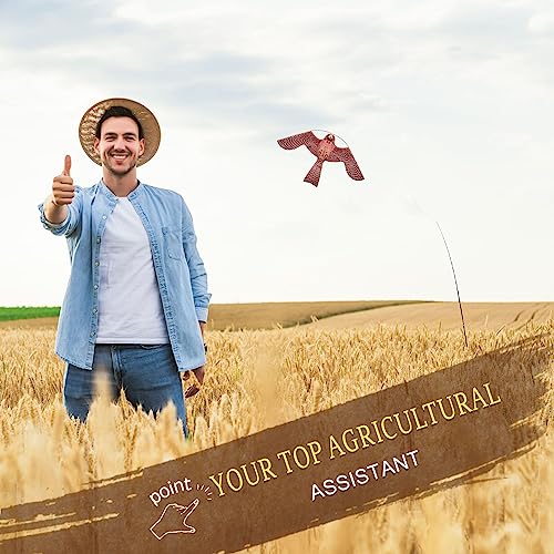 Bird Scarer Kite with 13ft Pole Bird Hawk Flying Kite-Style A | Hawk Deterrents for Farms, Patios and Docks | Keeps Birds, Geese and Seagulls Away | Covers 2150-5380 sq.ft - color: style A with 4m pole
