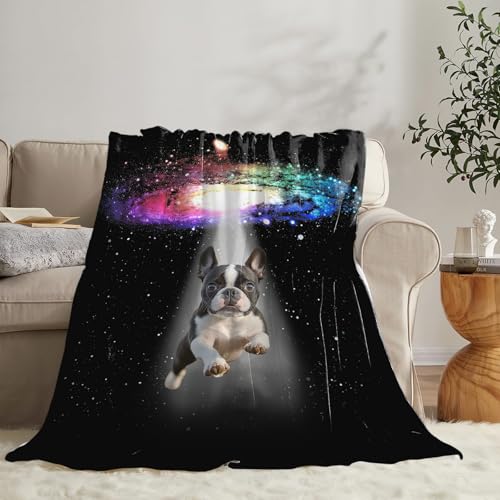 Dynova Boston Terrier Blanket Dog Lovers Gifts Cozy Plush Galaxy Funny Bulldog Throw Blankets Fuzzy Flannel Fleece for Girls Boys Women Men 80"X60" - color: Boston Terrier, size: 80"x60"