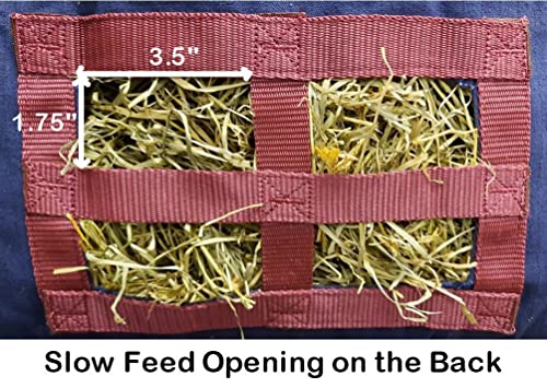 Derby Originals Large 24 OZ Canvas Horse Hay Bag 2 Sided Combo Design X Wide Gusset and 6 Month Warranty - color: Tan/Chocolate