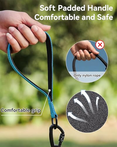 Joytale Long Dog Leash for Yard Tie Out & Recall Training, Blue, 30FT - color: Blue, size: 30FT