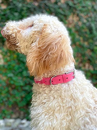 Tuff Pupper Heavy Duty Waterproof Dog Collar for Small, Medium & Large Dogs - color: Punch Pink