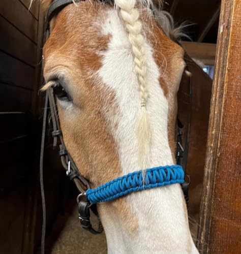 side pull hackamore with a whoa bitless bridle attachment horse tack royal blue