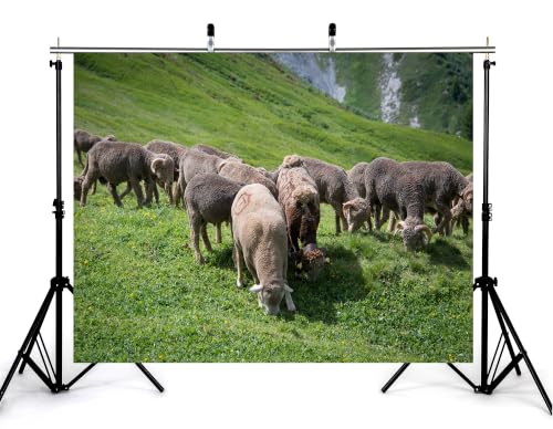 5x4ft Horned Wool Sheep Herd Backdrop Green Alpine Meadow Wild Yellow Flower Photography Background Tapestry Party Mountain Wildlife Scenery Decorations Banner Photo Booth Props - size: 5x4ft