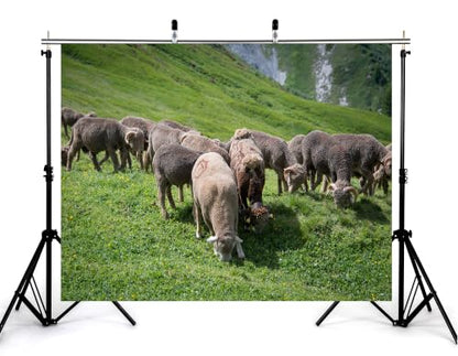 6x4ft Horned Wool Sheep Herd Backdrop Green Alpine Meadow Wild Yellow Flower Photography Background Tapestry Party Mountain Wildlife Scenery Decorations Banner Photo Booth Props - size: 6x4ft