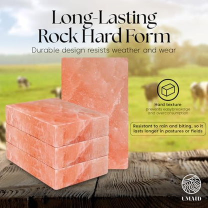 UMAID Himalayan Salt Block 4-Pack, 8x4x2 Inches – Natural Pink Mineral Block for Horses, Cows, Goats & Sheep – Long-Lasting Livestock Salt Supplement - size: 5 Pound (Pack of 4)