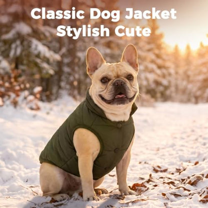 JoyDaog Fleece Lined Dog Jacket for Small Dogs,Winter Dog Coat,Green M - color: Green, size: Medium