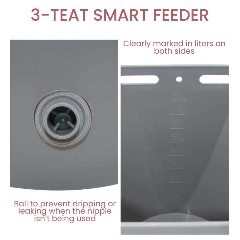 Lamb Feeder Bucket with 3 Teats and Valves – Metal Handle - Milk Feeding