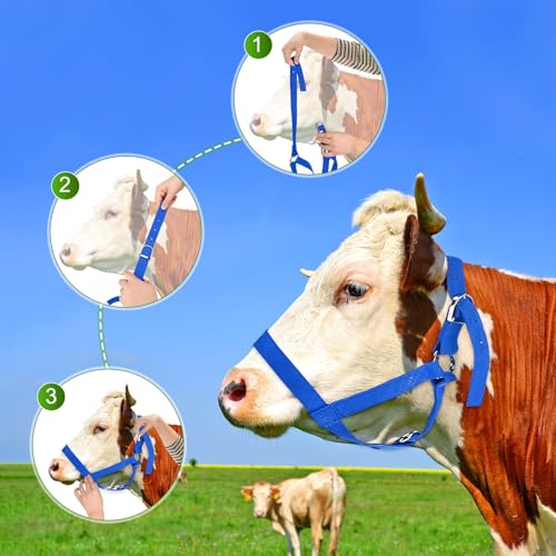 M METERXITY 2-Pack Adjustable Cattle Cow Calf Halter, 15.74"-19.68" Nylon Livestock Cow Halter for Miniature Horse/Donkey/Goat/Cattle [Green/Blue]