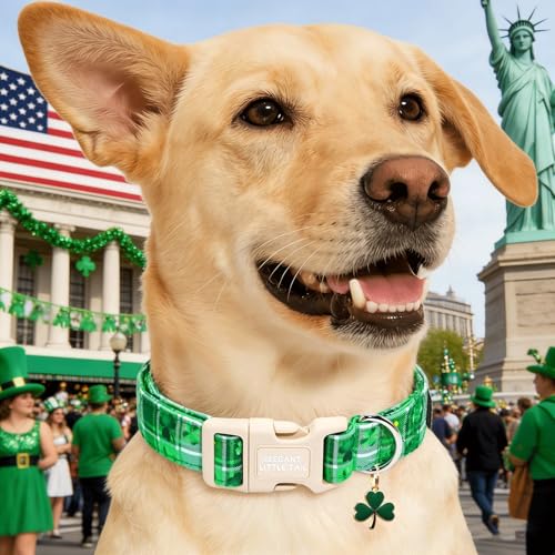 Elegant little tail St Patrick's Dog Collar - Green Plaid Cute Clover Cotton Shamrock Pet Collar Trefoil Adjustable Cotton Pet Collar with Quick Release Buckle for X-Small Dogs - color: Green Plaid, size: X-Small (Pack of 1)