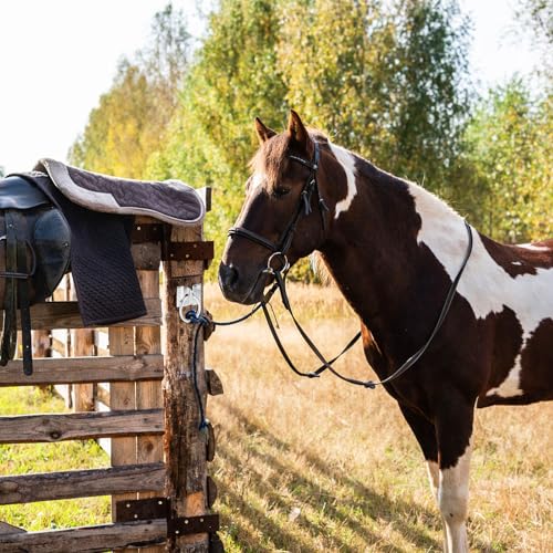 Cididu 16 Pack Cross Tie Ring for Horse, Block Tie Ring with Screws, Wall Mount Horse Tie Ring, Stainless Steel Hitching Ring Tie Down Hooks Horse Barn Supplies for Livestock Stable Stall Racetrack