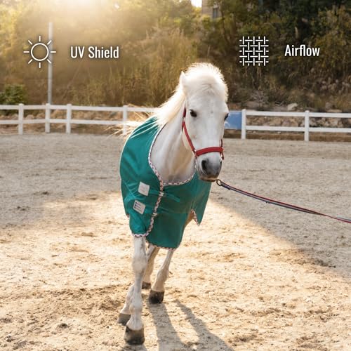 BARN & STABLE Breathable and UV Protective Tear-Resistant Mesh Horse Fly Sheet Comfy Equine Summer Sheet with Removable Web Leg Straps - color: EverGreen, size: 78 in
