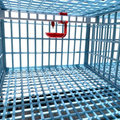 Hatching Time Jumbo Quail Cage Layer Addition – Jumbo Flooring Expansion Add-On for Quail Housing │ Removable Dividers, Extended Waste Trays, Egg Roll-Out Design, Easy-Clean ABS Plastic - style: Jumbo