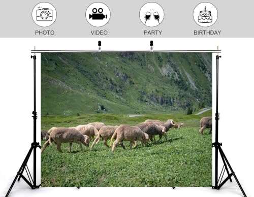 10x7ft Fabric Alpine Sheep Pasture Backdrop Wool Sheep Green Grass Steep Rocky Hillside Small Alpine Meadow Photography Background Tapestry Pastoral Decorations Photo Booth Props - size: 10x7ft