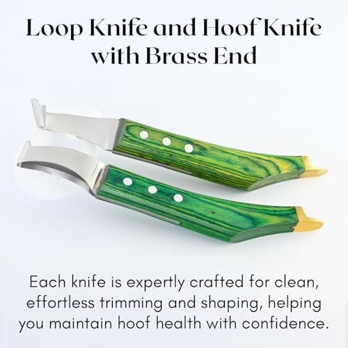 Premium Farrier Loop & Hoof Knife with Brass End – Professional Hoof Trimming Tool for Horses, Cows & Livestock, Stainless Steel Blade, Ergonomic Wood Handle (Green) - color: Green