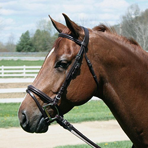 Macmillan Dressage Bridle with Laced Reins