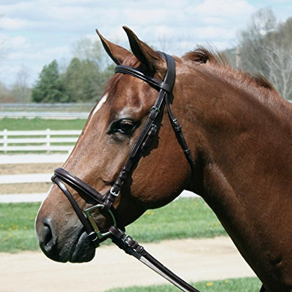 Macmillan Dressage Bridle with Laced Reins