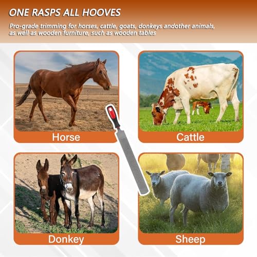 T12 Carbon Steel Horse Hoof Rasp - 8", 14" Professional Farrier Tool with Non-Slip Rubber Handle for Horse/Goat/Cow/Donkey/Animal Hooves (8 inch) - color: 8 inch