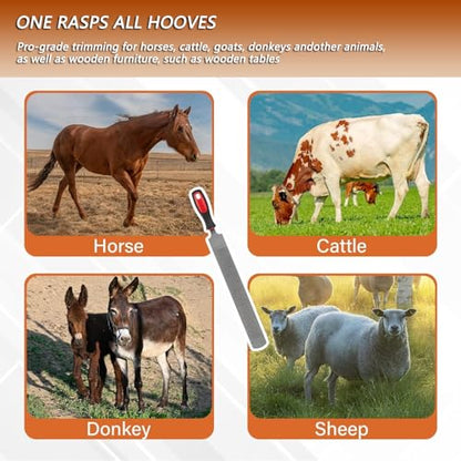 T12 Carbon Steel Horse Hoof Rasp - 8", 14" Professional Farrier Tool with Non-Slip Rubber Handle for Horse/Goat/Cow/Donkey/Animal Hooves (8 inch) - color: 8 inch