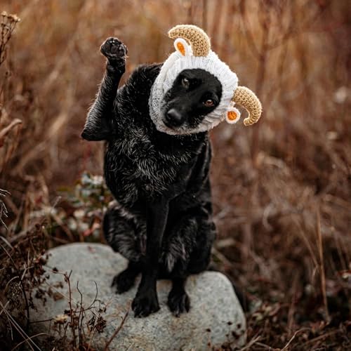 Ram Goat Costume - Warm Knit Dog Snood Wrap for Pets, Neck Ear Cover Protection, Halloween Winter (Medium) - size: Medium