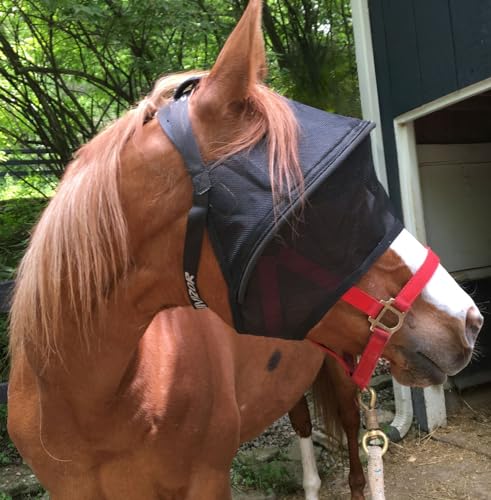 Solar Vizor EquiVizor Horse Fly Mask, Superior 100 percentage UV Eye Protection for Horses with Uveitis, Photosensitivity, Ulcers, Head Shaking, Eye Injuries (X-Large), Black - size: X-LARGE