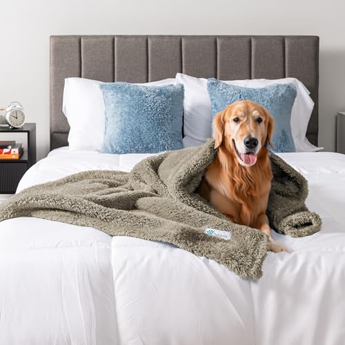 PetAmi Fluffy Sherpa Waterproof Dog Blanket for Pet Cat Queen 90x90, Taupe - color: Taupe, size: Queen (90x90)