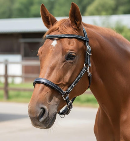 Double Stitched Latigo Leather Browband Western Horse Headstall - color: Black