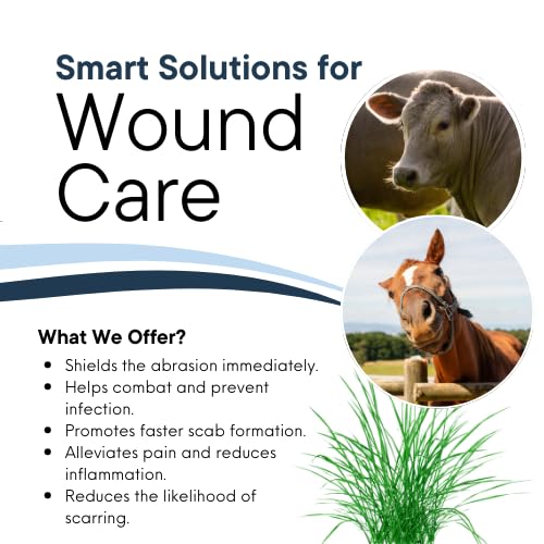 Corazón Therapeutics Equine Wound Care Kit, 3-Part Treatment System with Salve, Spray and Oral Solution