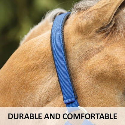 Dura-Tech Deluxe Fully Padded Breakaway Horse Halter | 1” Double Ply Nylon Web Overlay | Heavy-Duty Hardware | Semi Custom Fit | 3-Point Cheek Attachment - color: Black, size: Oversize