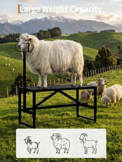 Goat Milking Stand 47x23 inch Heavy-Duty Metal Livestock Stand, 500lbs Capacity, Adjustable Height 21"-37", for Milking/Trimming/Grooming