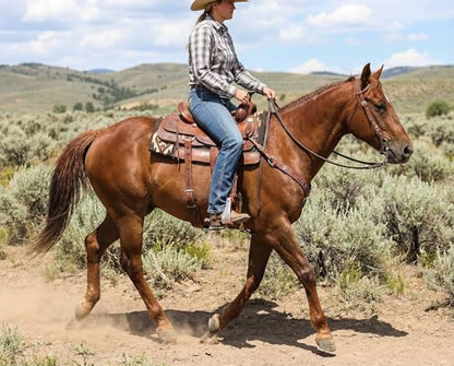 CHALLENGER Horse Western 5" Wide Bronze Engraved Aluminum Rubber Tread Show Stirrups 5176BZ
