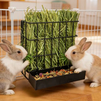 BESNEW 2-in-1 Large Rabbit Hay Feeder with Food Box,Upgraded Metal Guinea Pig Hay Feeder Hay-Leak Proof Bottom,Easy to Install,Bunny Supplies for Rabbit Guinea Pig Chinchilla Small Animals - color: Black, size: 10in feeder-box
