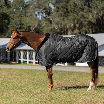 Equinavia Luksus Premium Stable Blanket for Horses | No Fill Lightweight Sheet with Fleece Collar - Black - 84 in - size: 84 in