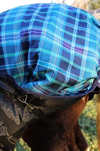 Challenger 600D Horse Turnout Waterproof 300G Polyfill Winter Blanket Turquoise 21EE03 - color: Turquoise Navy Plaid, size: 60 inches